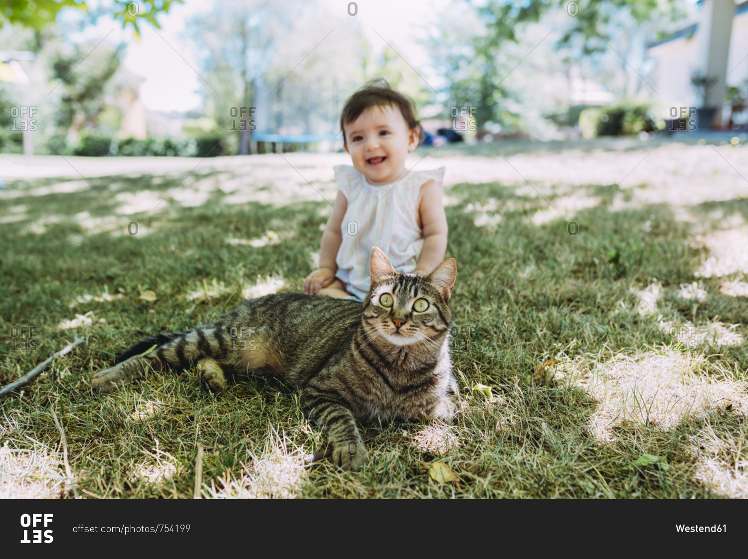 Portrait of tabby cat on a meadow with laughing baby girl sitting in the background
