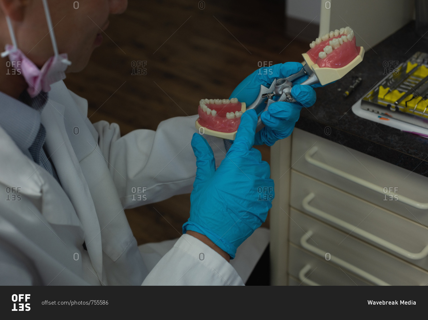 Mid section of male dentist holding artificial teeth in clinic