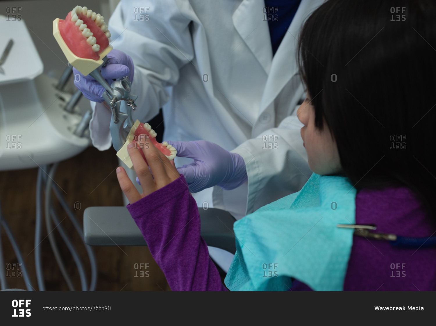 Female dentist explaining about teeth model in clinic