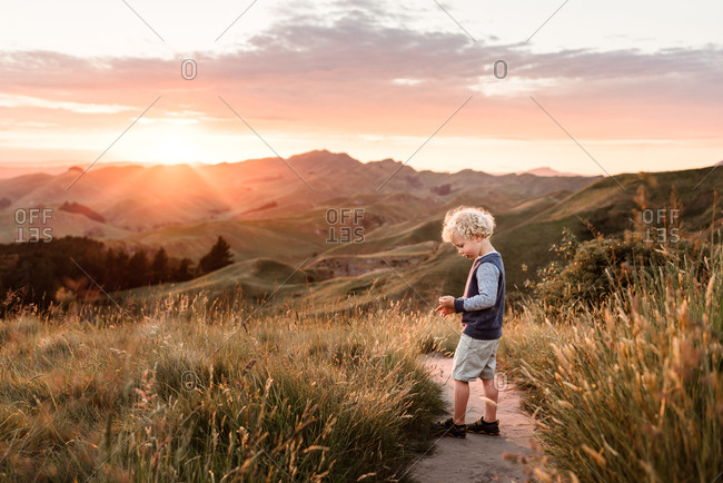 Boy picking plants on a path through the countryside