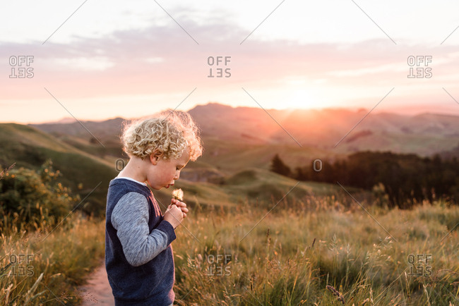 Boy blowing dandelion flower in the countryside