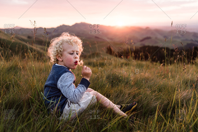 Young boy with a dandelion flower