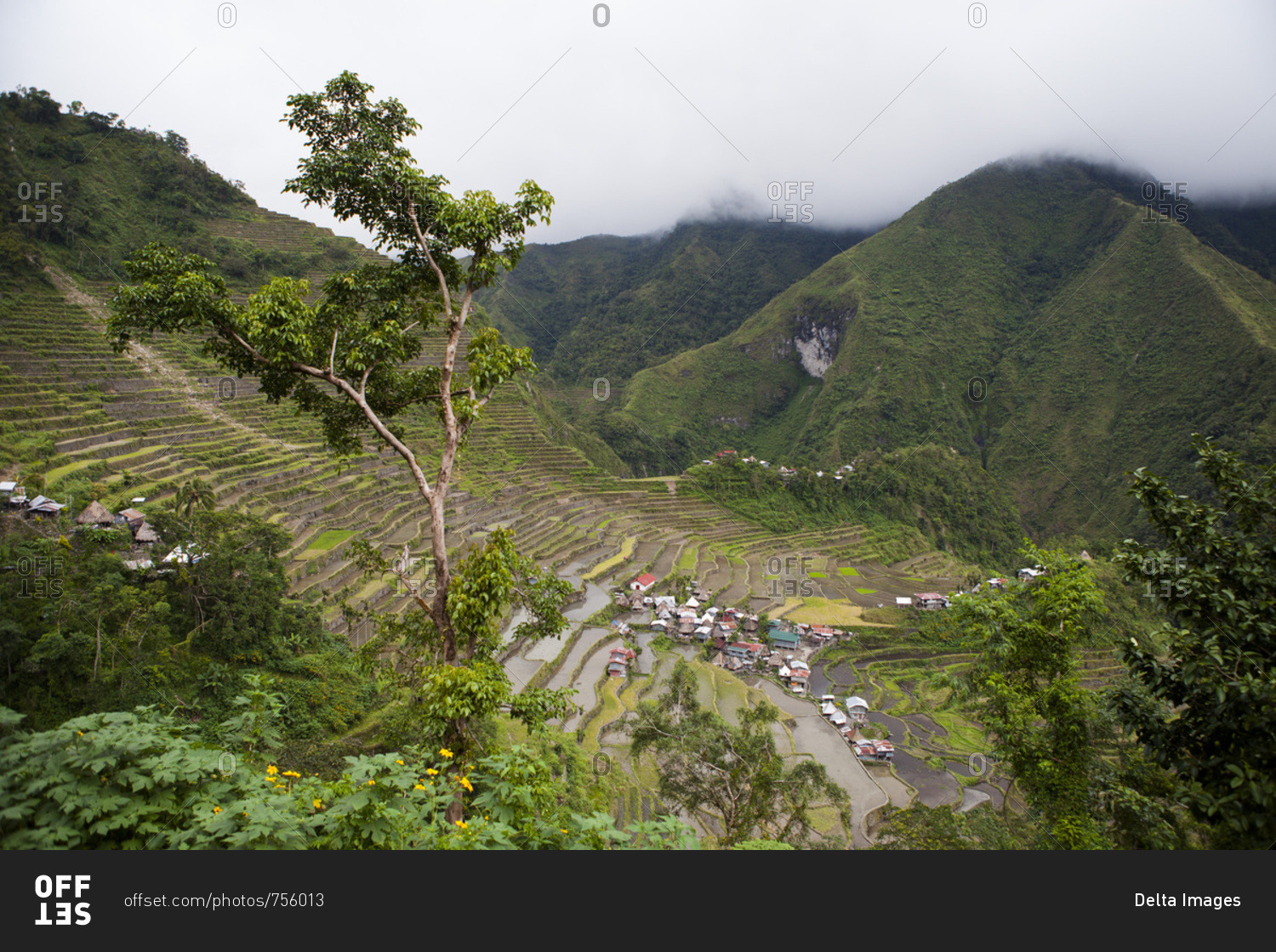 Rice fields of Batad Province Ifugao, Philippines; One of the oldest ricefields in the worldPeople of seasoned warriors and wood carvers, formerly head cutters, the Ifugaos perpetuate today as best they can their traditions and beliefs. Because defores