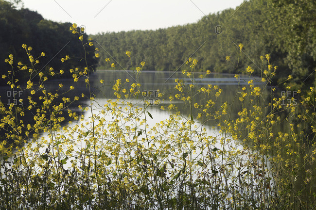 France, Canal de La Martiniere, spring.