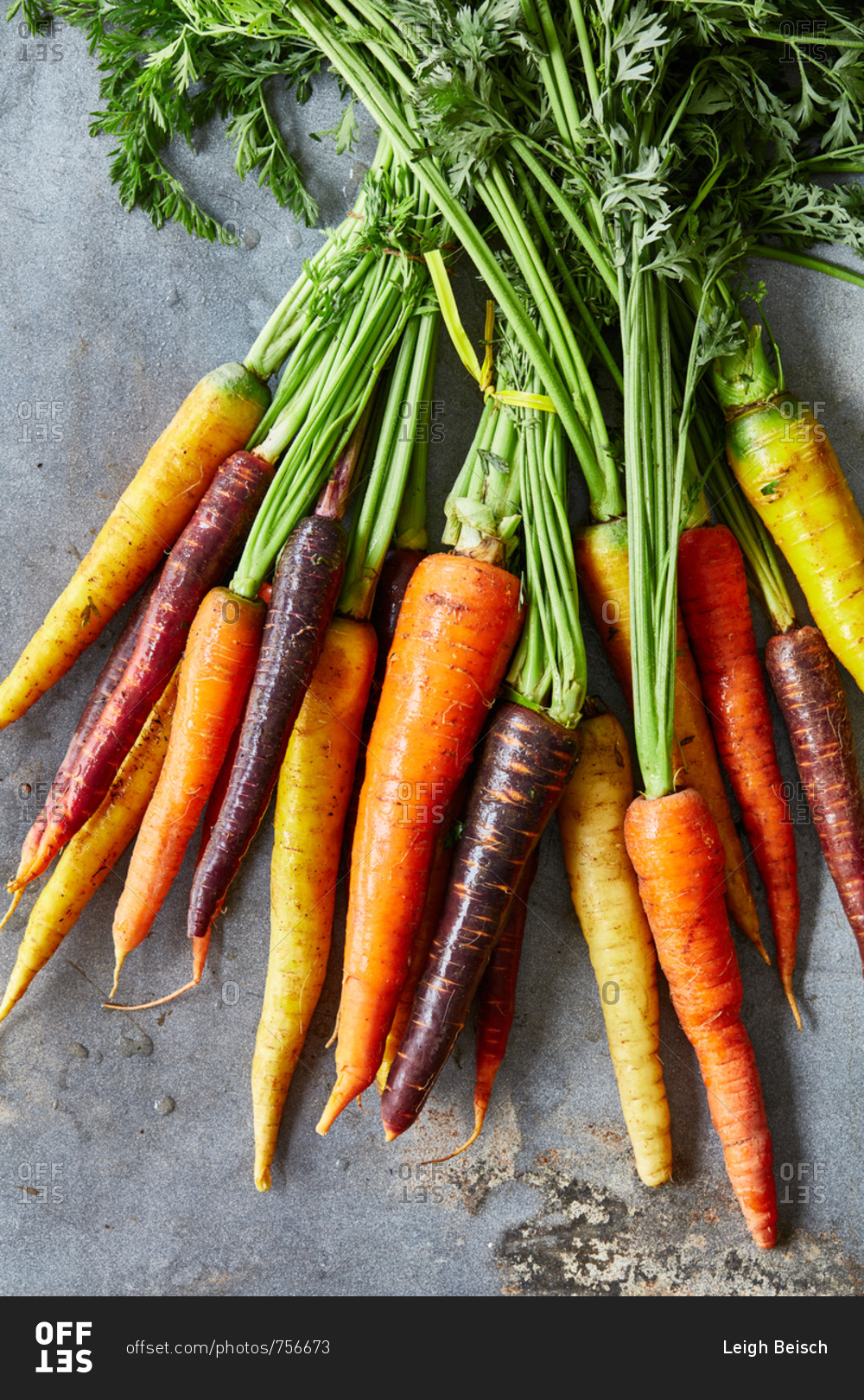 Rainbow carrot bunch