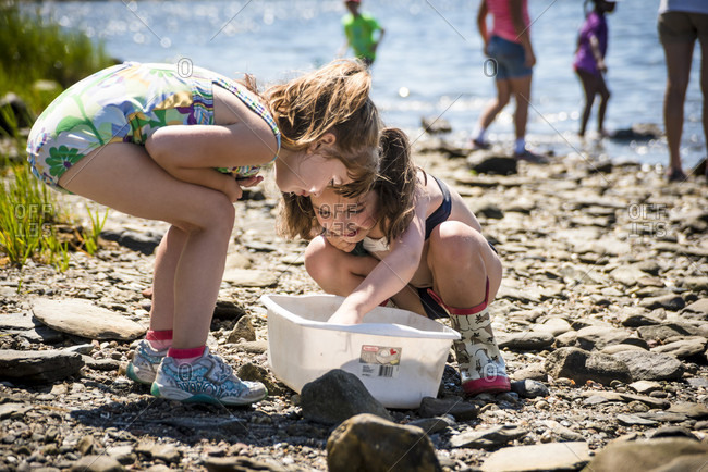 August 18, 2016: Children learning about coastal environments as part of an outdoor education program with the Audubon Society, Bristol, Rhode Island, USA