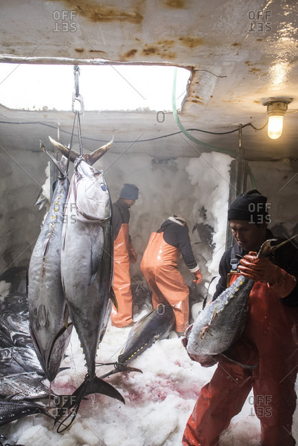 fishing boat freezer