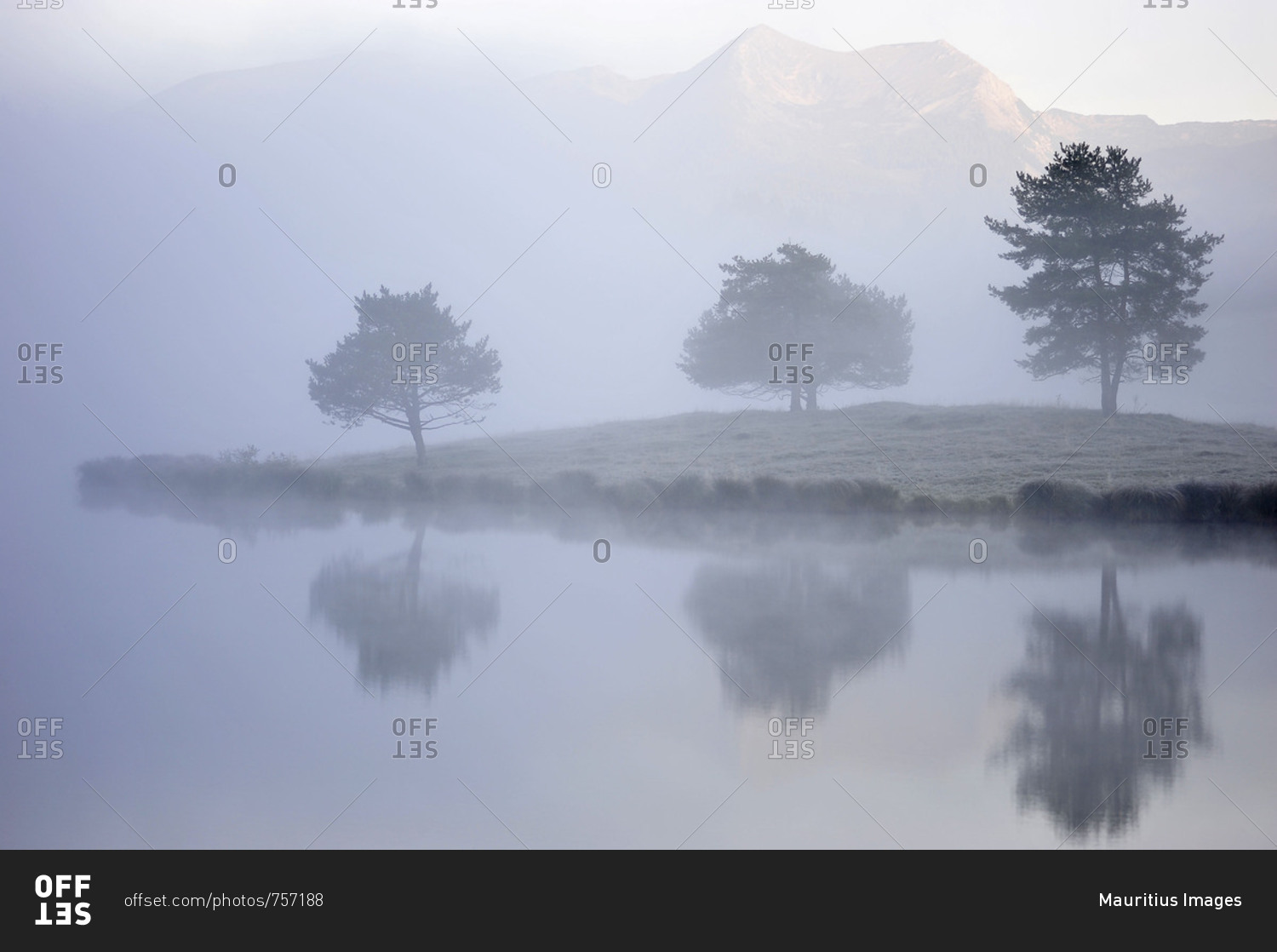 Three trees are reflected in the water of the Schmalensee (lake), while the fog admits a view at the mountains.