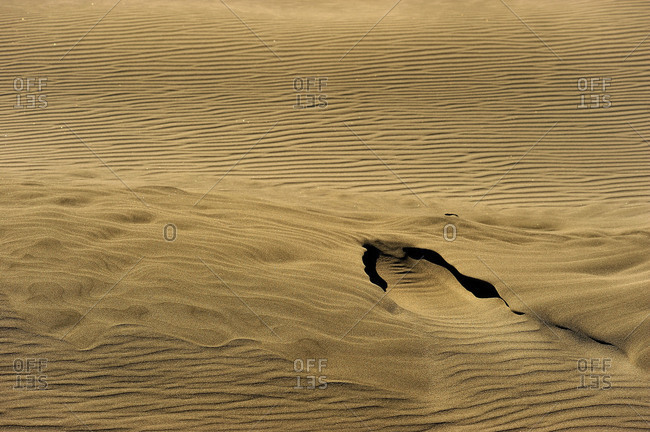 Sand structure in a dune