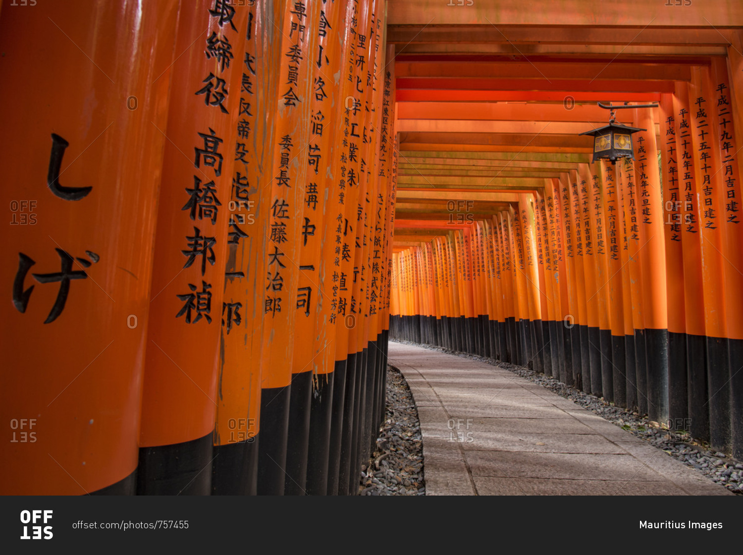 Asia Japan Nihon Nippon Kyoto Senbon Torii Fushimi Inari Taisha Shrine Stock Photo Offset