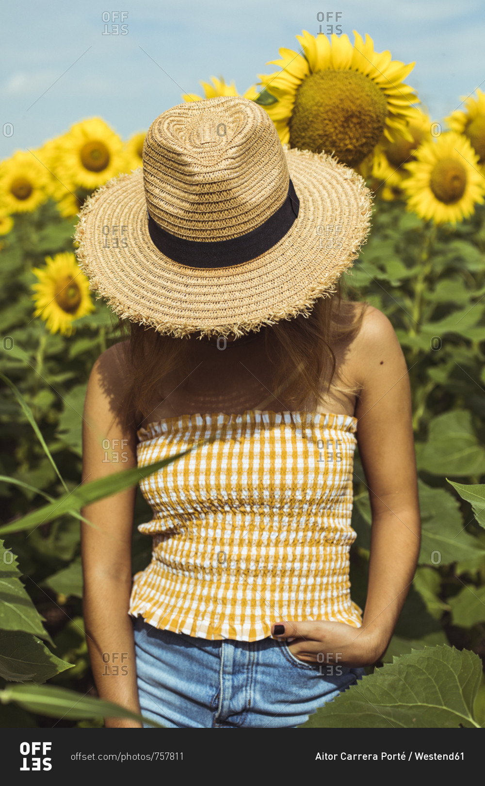 Unrecognizable woman with a straw hat in a field of sunflowers