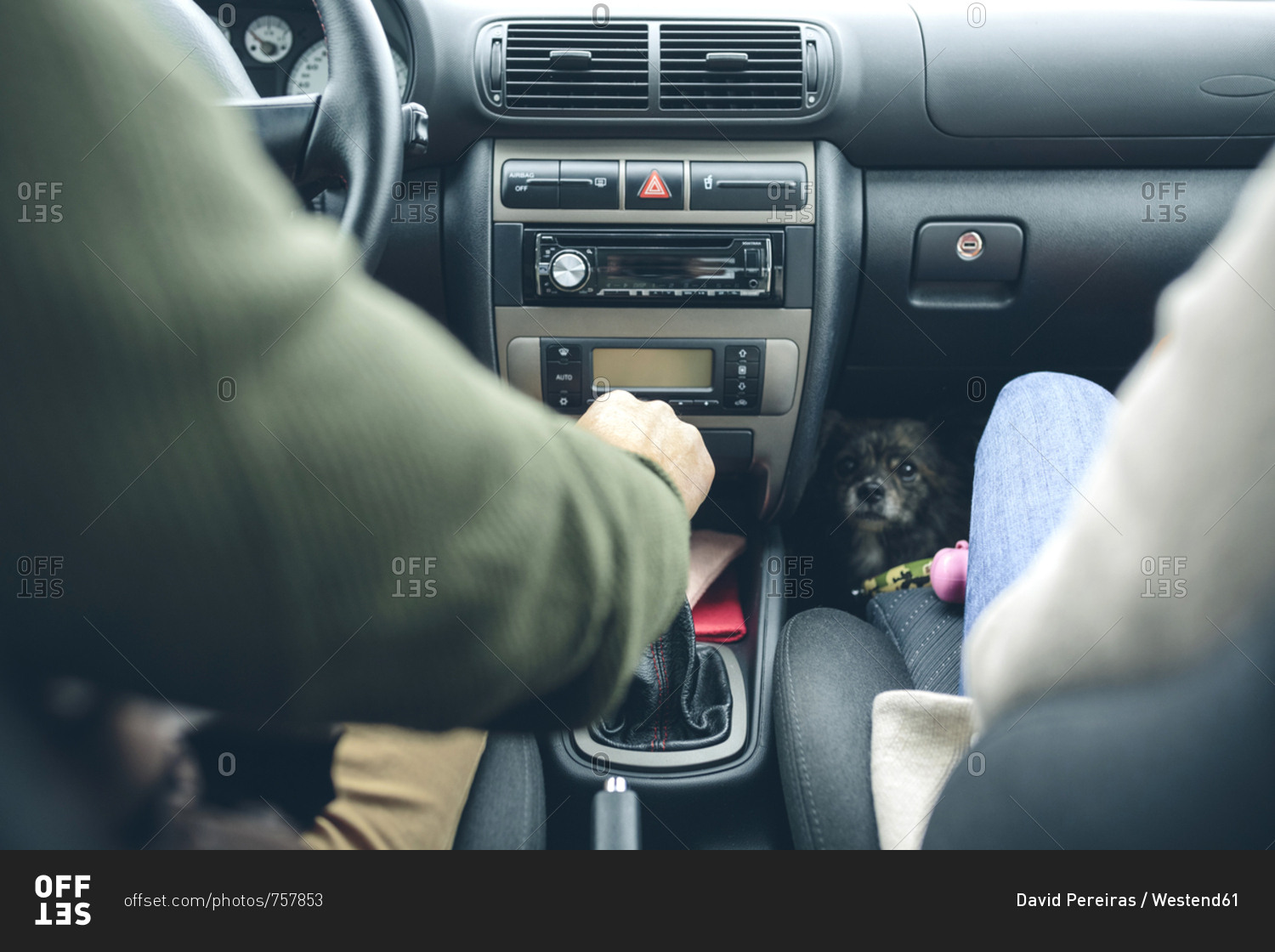 Couple in car with small dog looking at camera