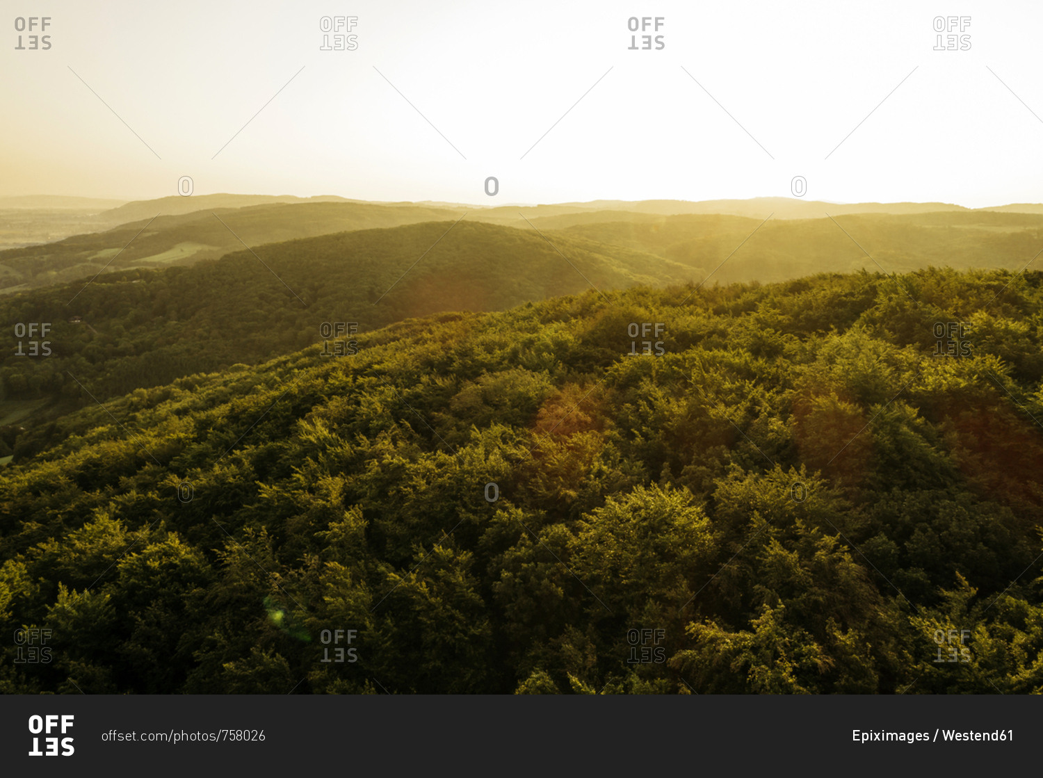 Austria- Lower Austria- Vienna Woods- Biosphere Reserve Vienna Woods- Aerial view of forest at sunrise