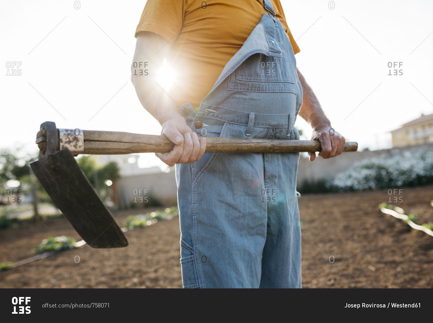 Senior man in denim holding shabby hoe tool and standing on cultivated land