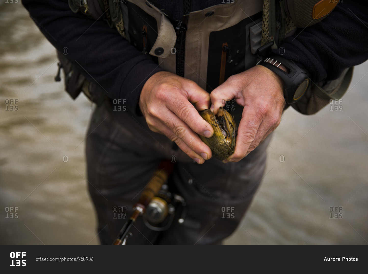 Mid section of fisherman trying to open clam from Grand River, Hamilton, Ontario, Canada