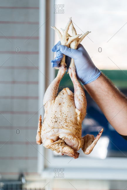 Chef holding whole raw chicken by feet
