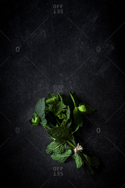 Aromatic herbs. Flat lay. On dark background. Parsley. Rosemary. Mint. Laurel. Flat lay