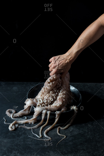 Crop hand holding octopus over plate