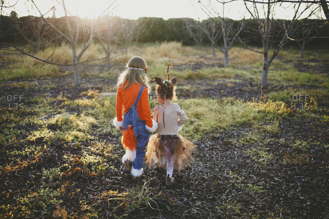 Rear view of sisters in Halloween costumes walking on field at park during sunset