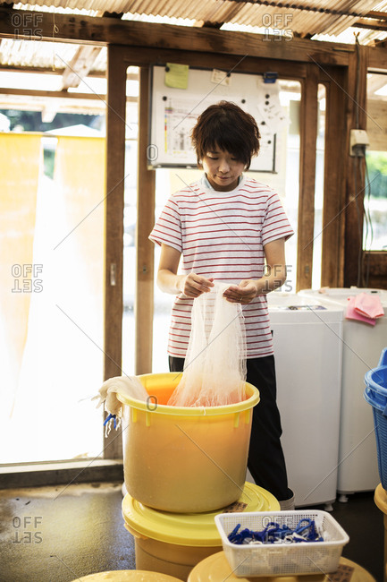 Japanese woman standing in a textile plant dye workshop, holding piece of sheer white fabric over yellow plastic bucket.