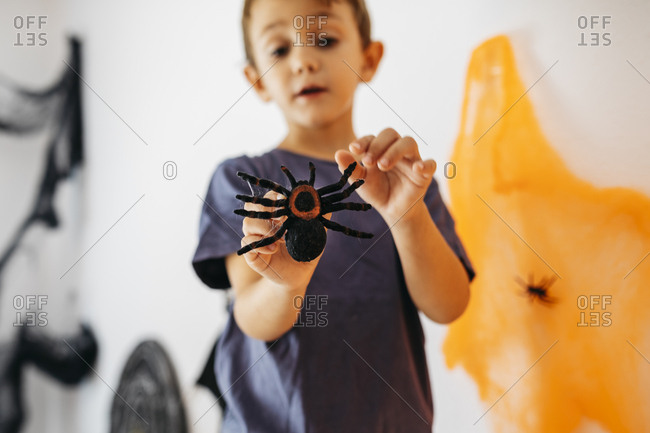 Little boy holding toy spider