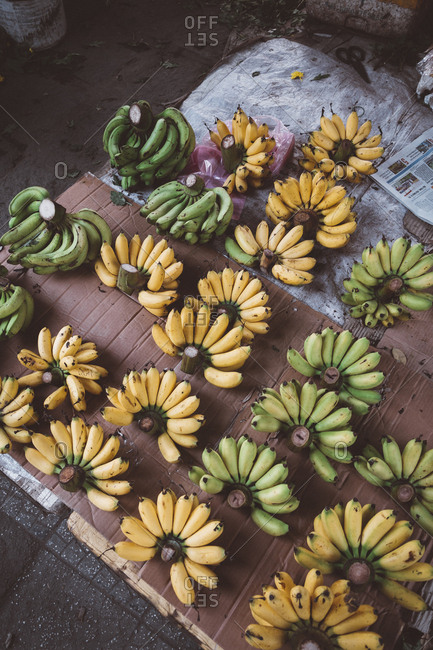 Hoi An, Vietnam - October 27, 2018: Bunches of fresh bananas for sale at market