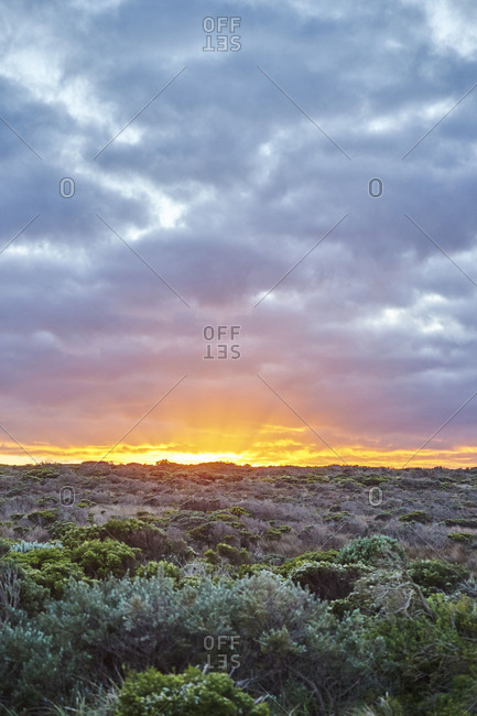 Sunrise at the Twelve Apostles, Great Ocean Road, Port Campbell National Park, Victoria, Australia, Oceania
