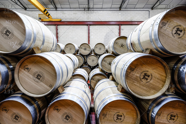 Barrels in the cellars of the wine brand Alejandro Fernandez of denomination of origin Ribera del Duero in Valladolid Spain Europe