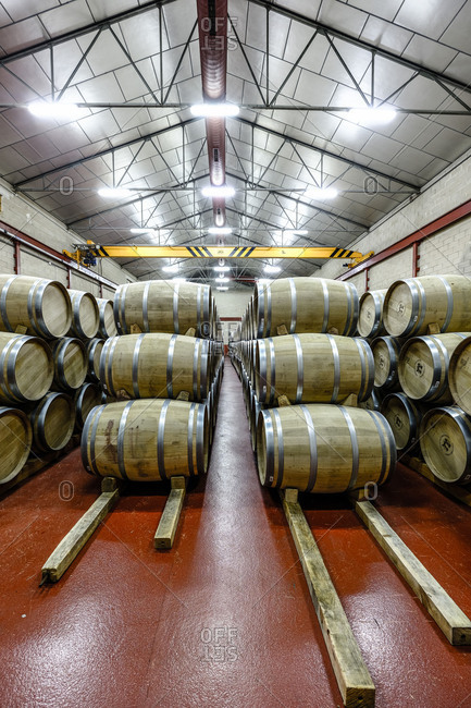 Barrels in the cellars of the wine brand Alejandro Fernandez of denomination of origin Ribera del Duero in Valladolid Spain Europe