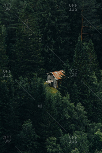 Majestic drone view of small shabby hut standing in middle of conifer forest