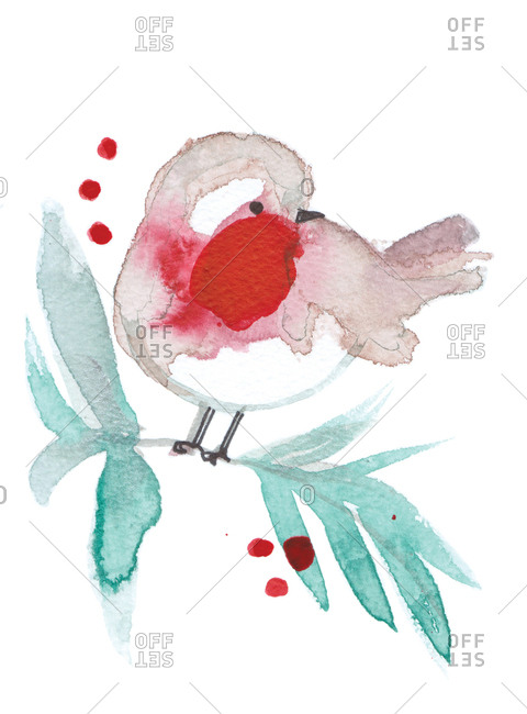 Robin perched on tree branch