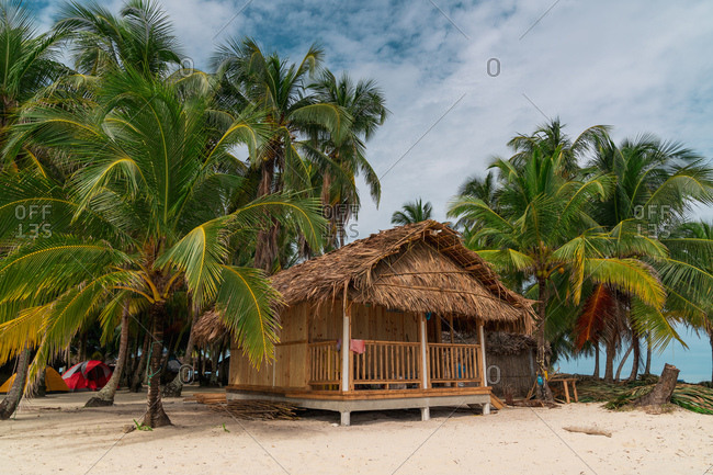 Exterior Of Small Bungalow With Thatched Roof On Sandy Beach Among Green Palms Panama Stock Photo Offset