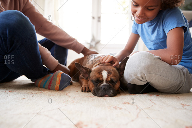 Low section of father and son sitting on their living room  floor petting their dog, close up