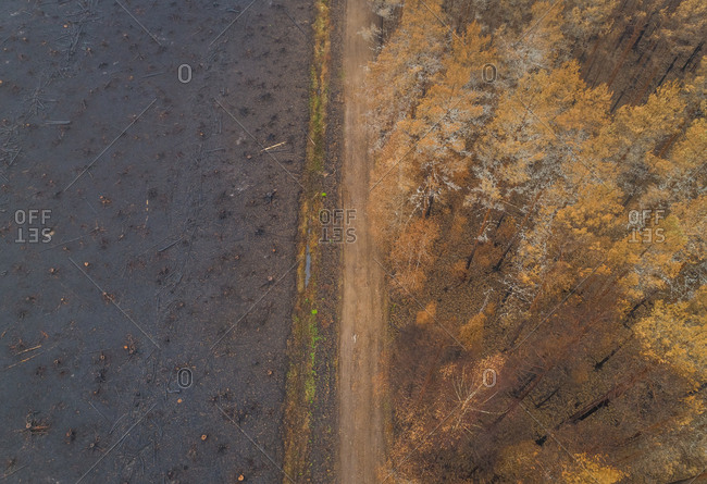 Aerial view dirty road going through field in Estonia.