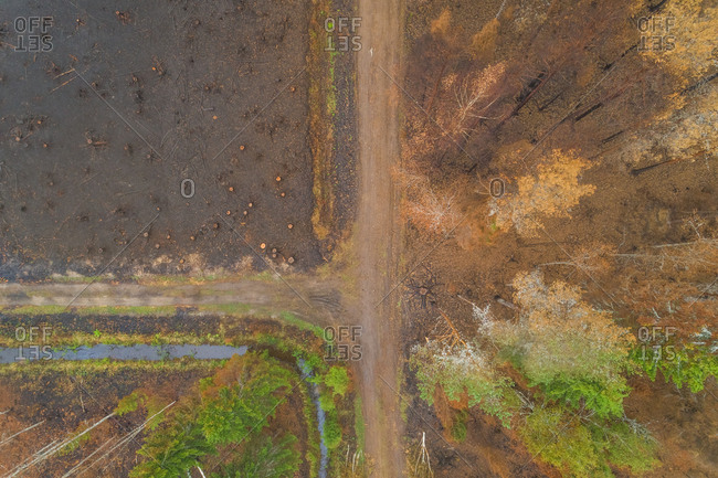 Aerial view dirty road going through field in Estonia.