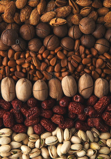 Variety of whole nuts in shells and dates arranged in rows