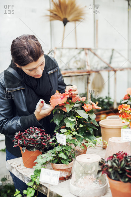 Young woman potting plants in a plant nursery in Sweden