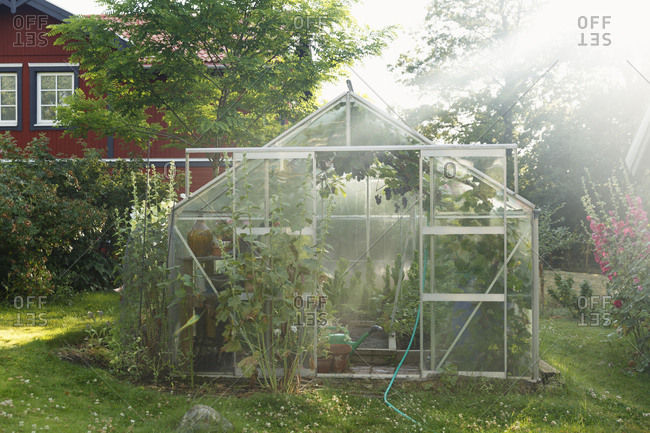 Greenhouse on lawn