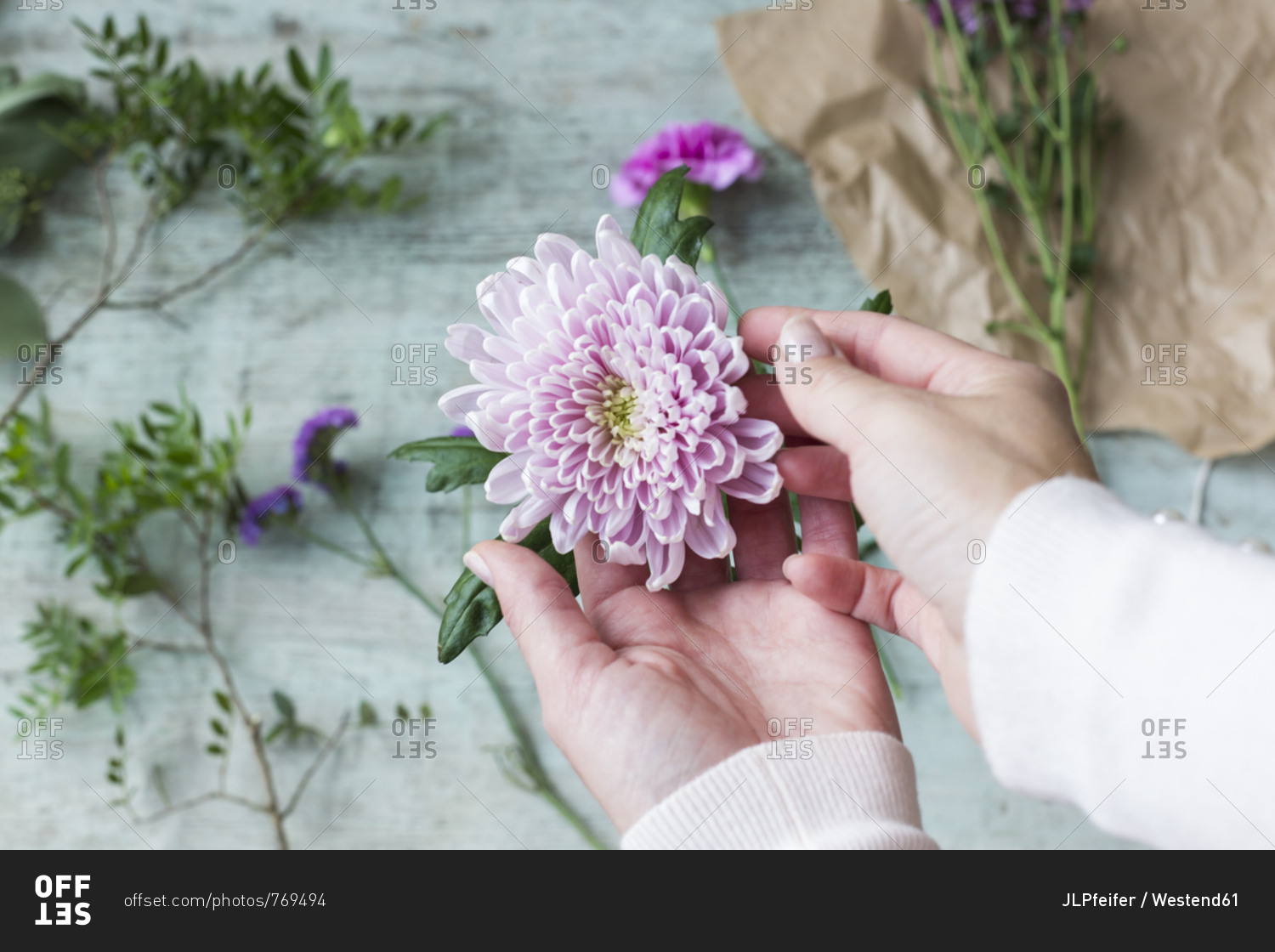 Woman's hands holding pink flower head