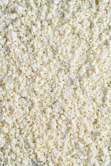 Close up of cottage cheese