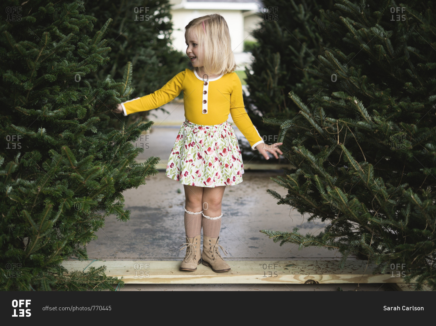 Smiling girl picking out a Christmas tree stock photo OFFSET
