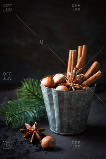 Hazelnuts, star anise and cinnamon sticks in a vintage tin mold on dark background as a concept of festive Christmas baking. Shallow depth of field
