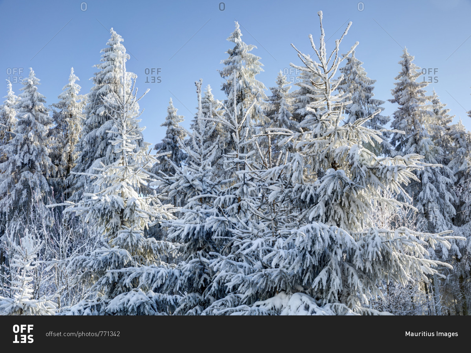 Snow, winter landscape, Red Moor, Rhon, Hesse, Germany, Europe