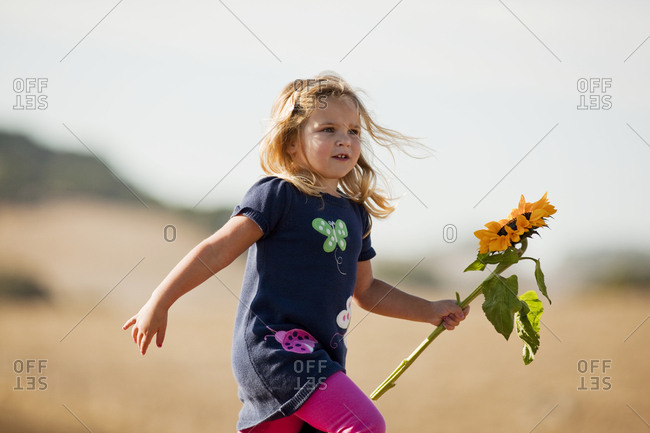 Young girl carrying sunflower.