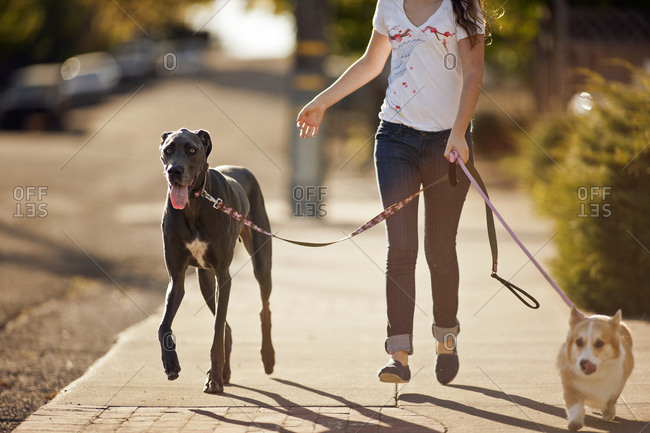 Teenage girl dog walking on a suburban street.