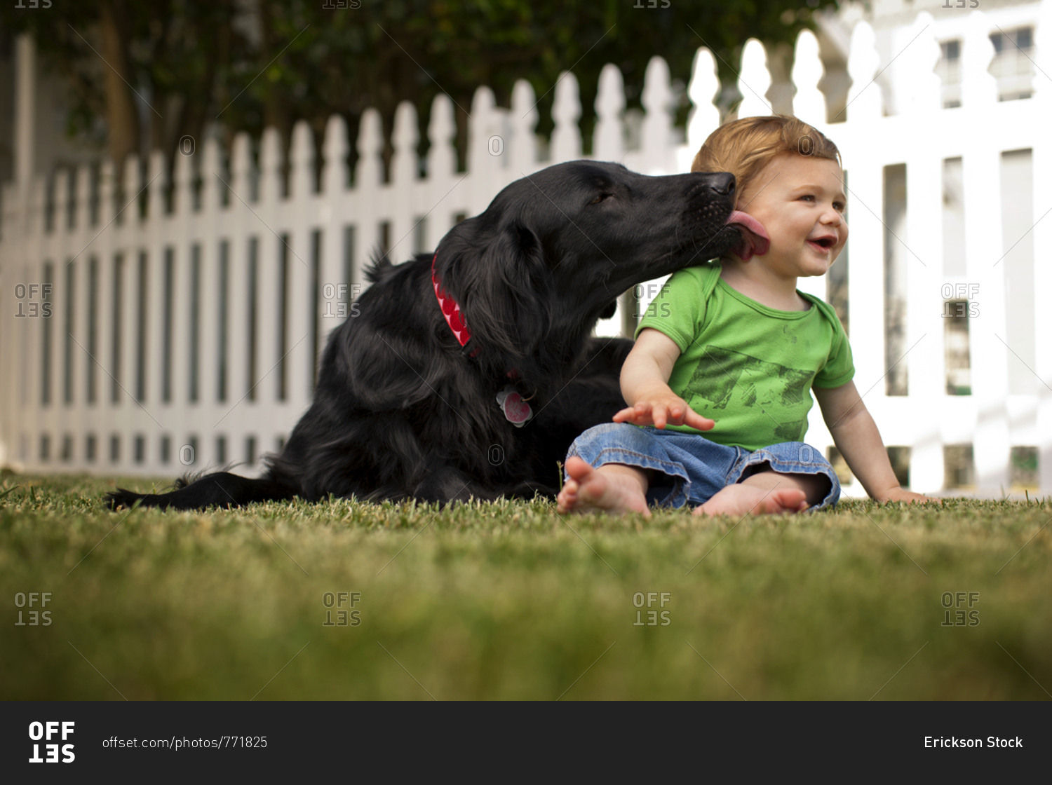 Smiling baby boy sitting in back yard with pet dog.