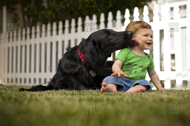 Smiling baby boy sitting in back yard with pet dog.