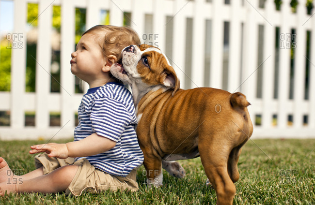 Young toddler and his dog in the back yard of their home.