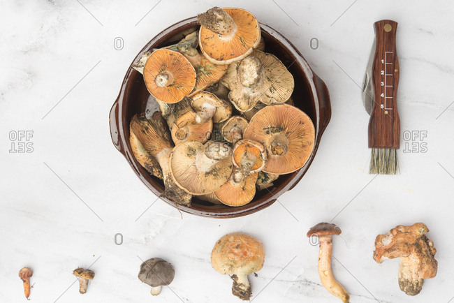 Different edible mushrooms- top view on marble