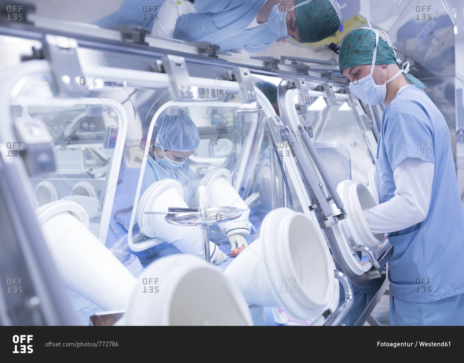 Scientists processing human tissue in insulator laboratory stock photo